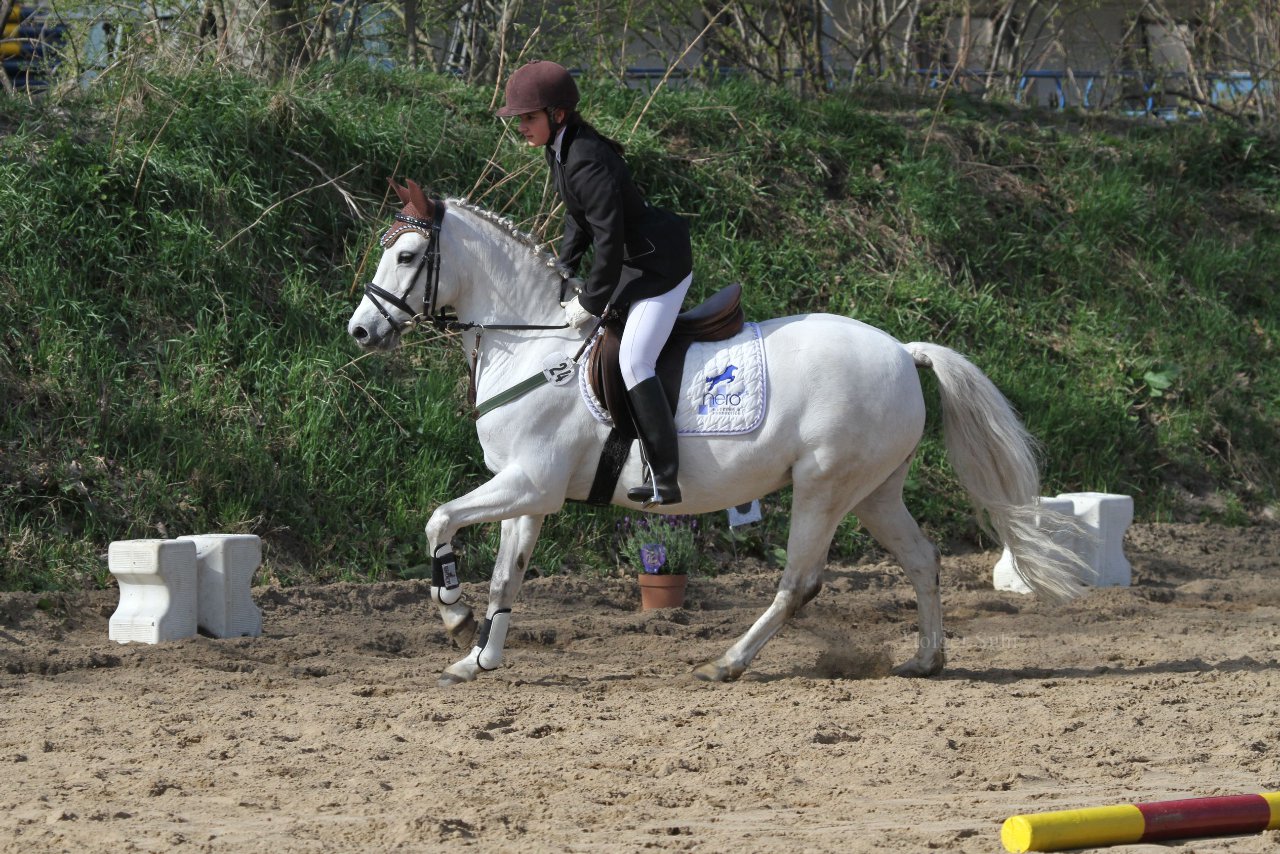 Bild 902 - WBO-Turnier am 9.4.11